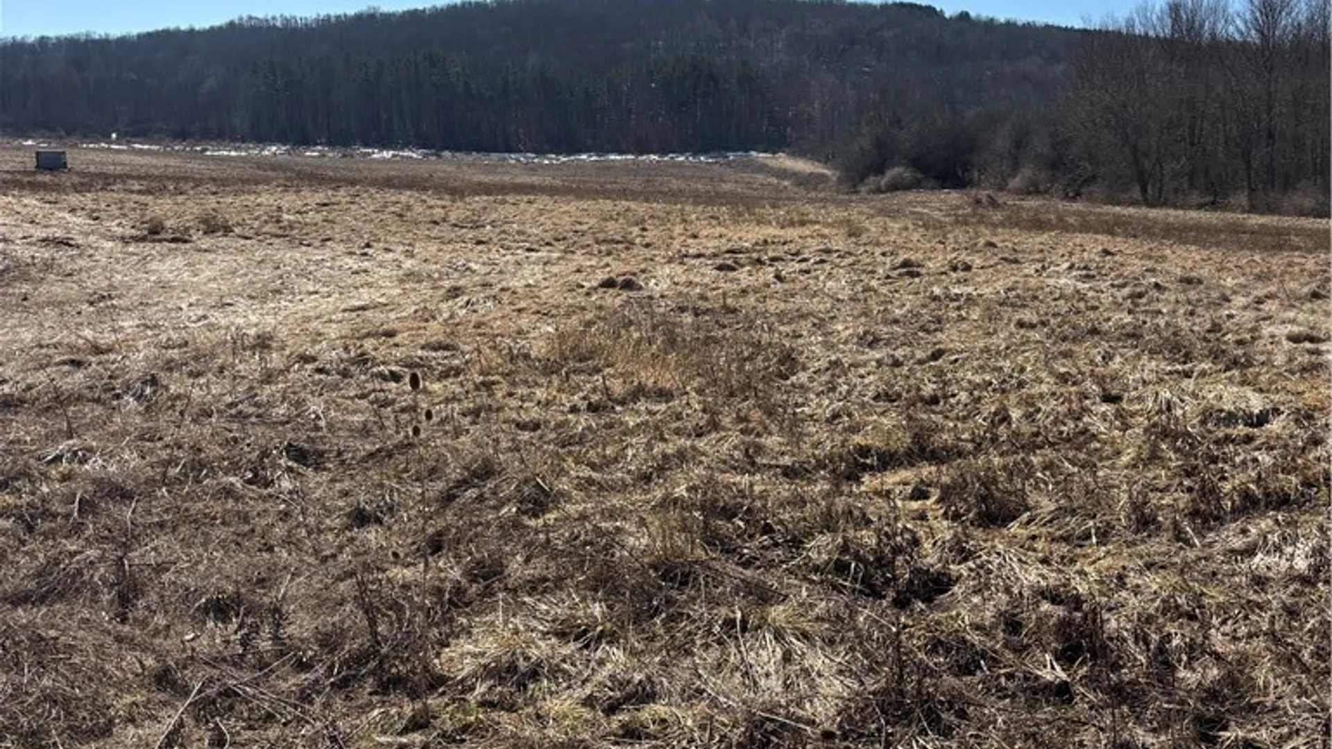Property at Cr-2, Angelica, NY 14709 24