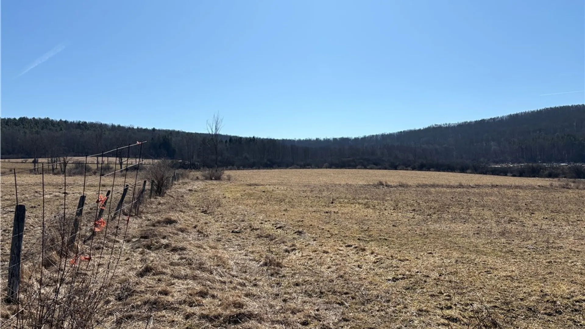 Property at Cr-2, Angelica, NY 14709 25