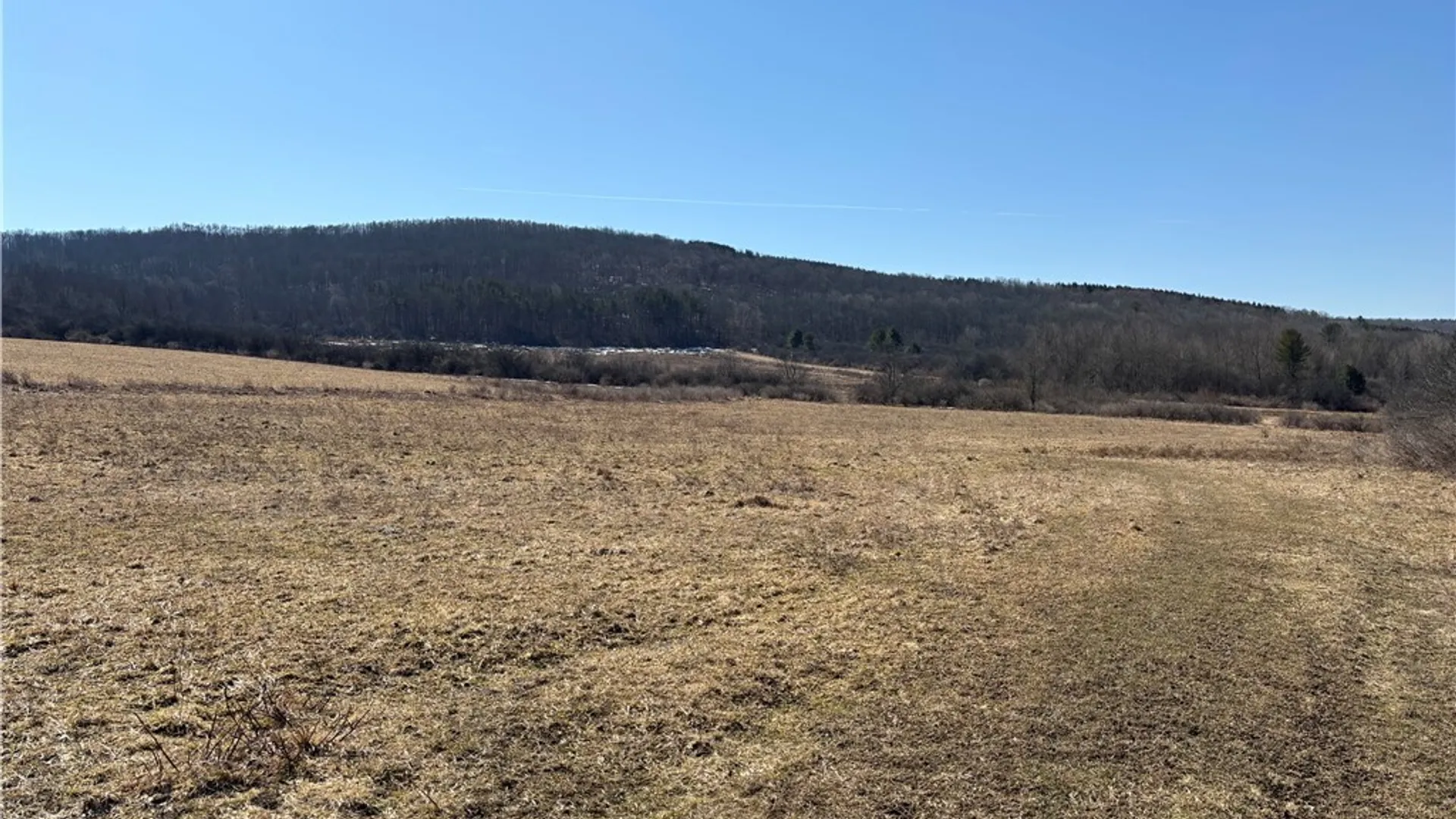 Property at Cr-2, Angelica, NY 14709 27