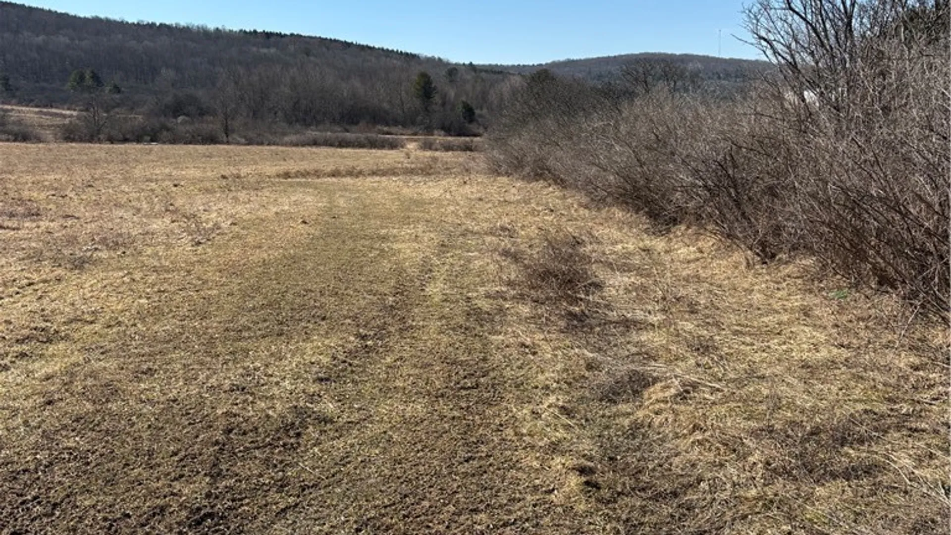 Property at Cr-2, Angelica, NY 14709 28