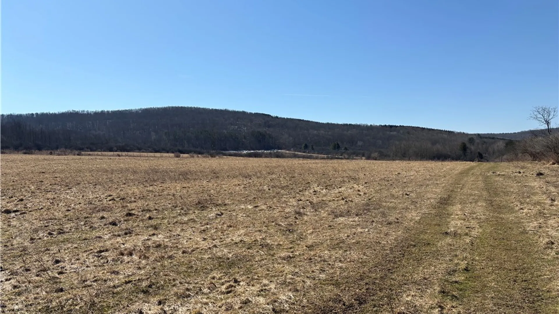 Property at Cr-2, Angelica, NY 14709 29
