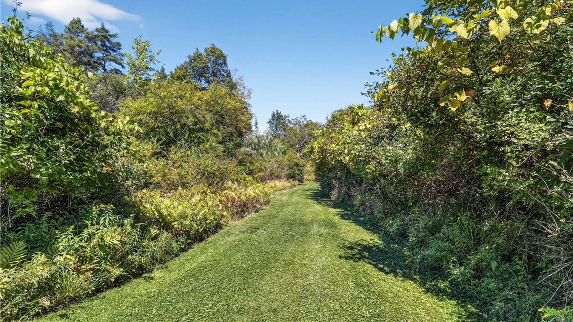 Property at 75 Bush Lane, Lansing, NY 14850 22