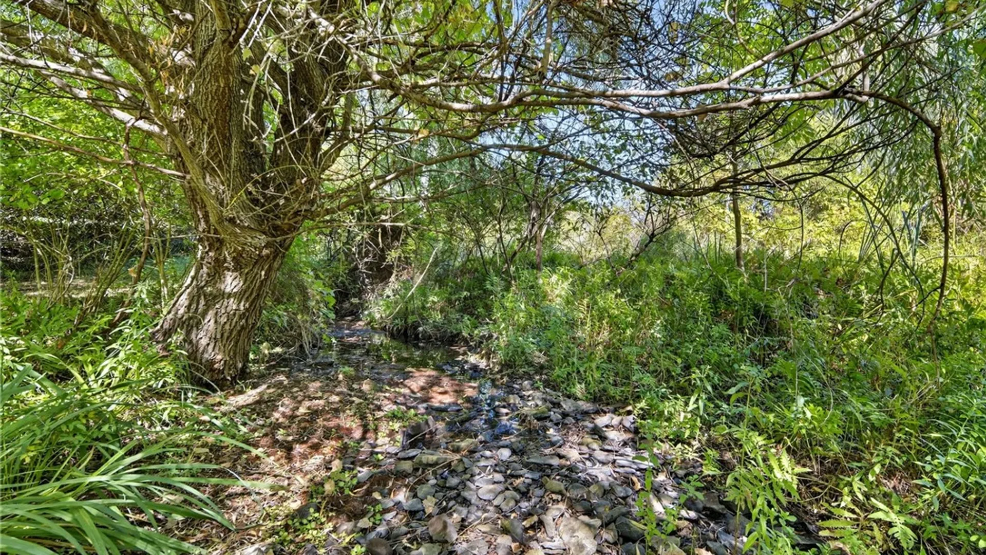 Property at 75 Bush Lane, Lansing, NY 14850 23