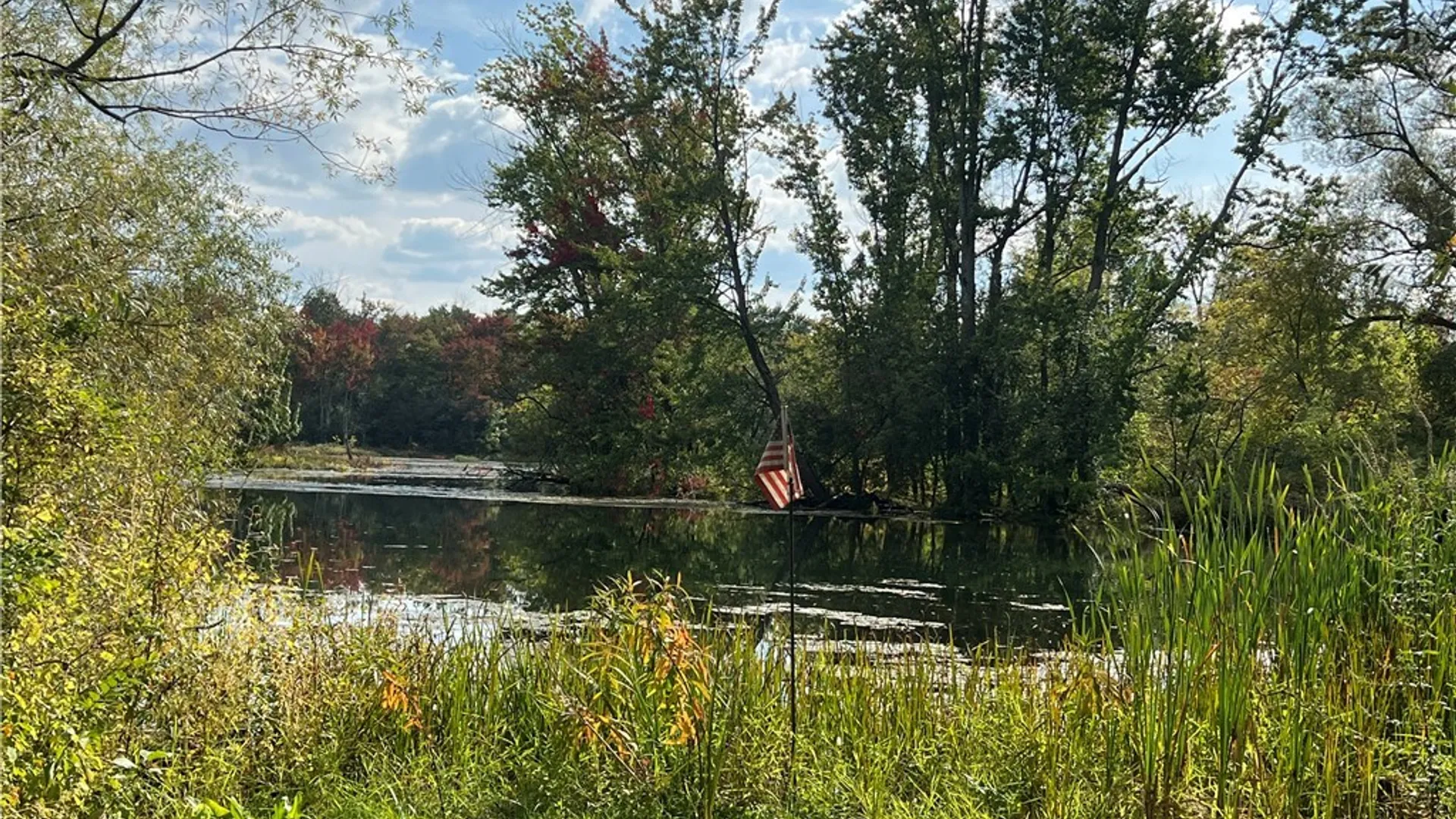 Property at 1720 Little York Crossing Road, Homer, NY 13077 44