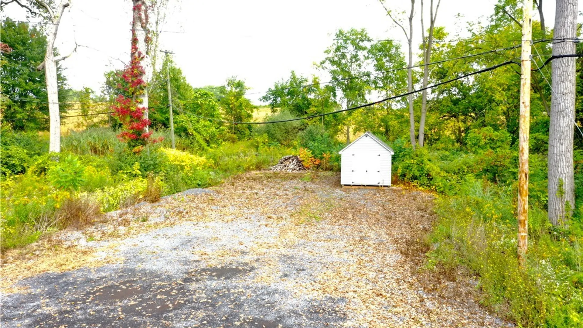 Property at 7023 River Road, Aurelius, NY 13034 7