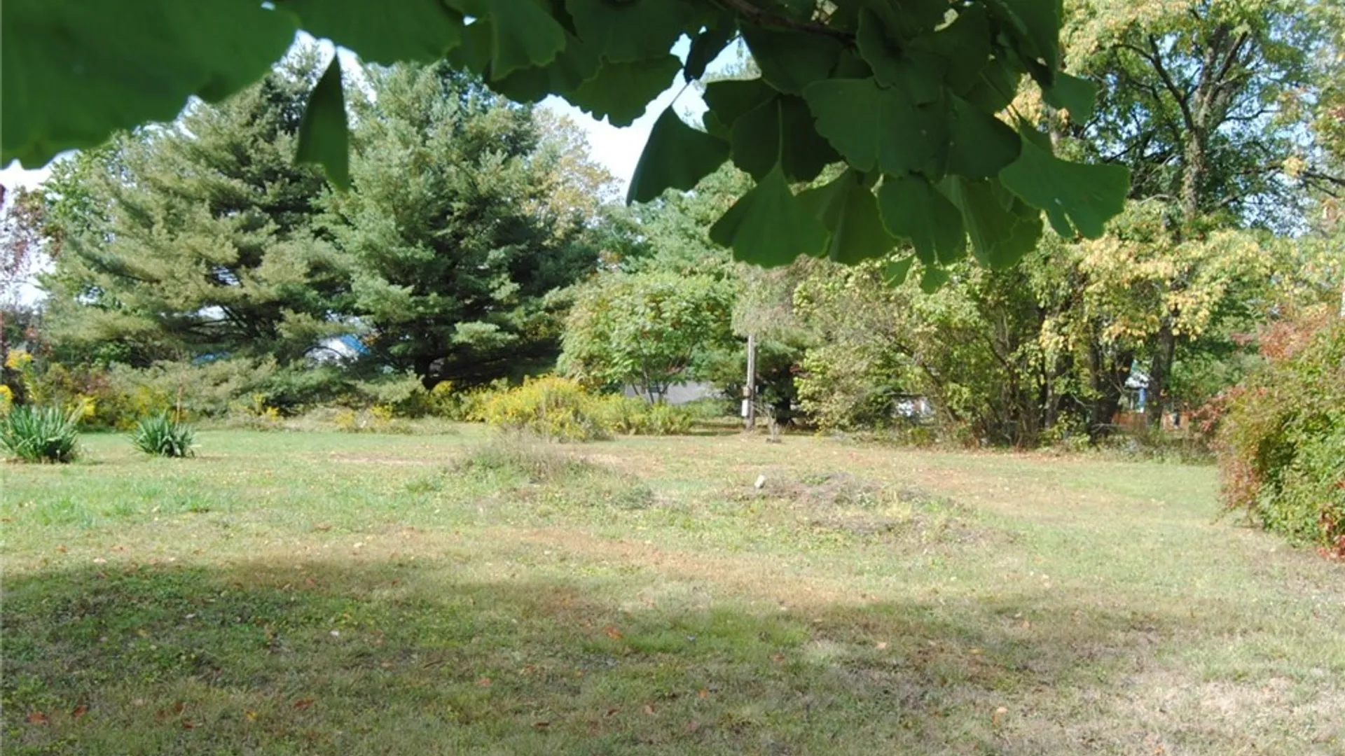Property at 517 Park Avenue, Kane Boro, PA 16735 2