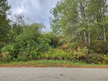 Property at 0 Caswell Road, Randolph, NY 14772