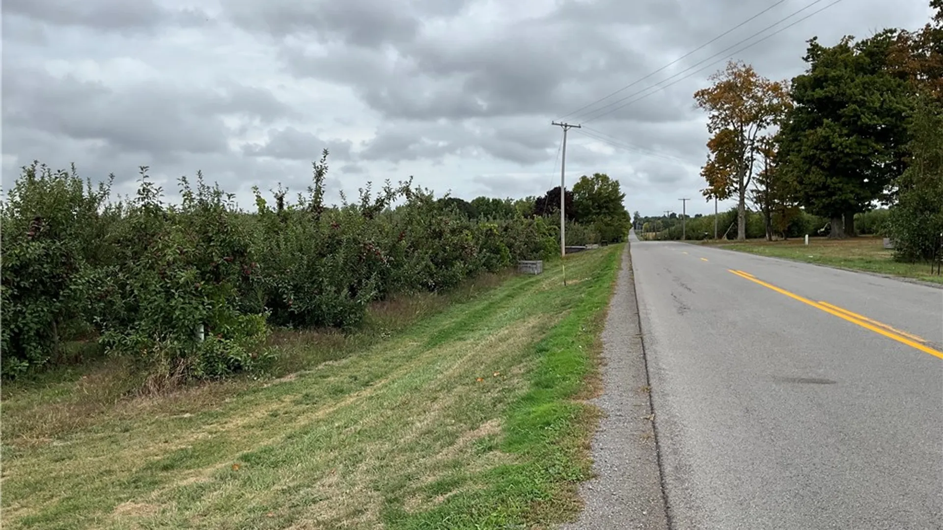 Property at Densmore Road, Gaines, NY 14411 5