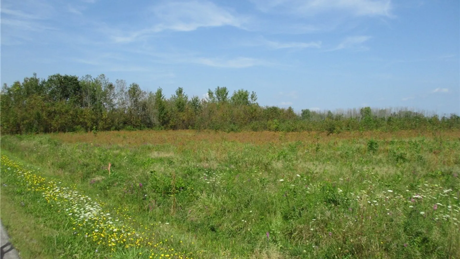 Property at 01 Hitchcock Point Road, Sullivan, NY 13037 10