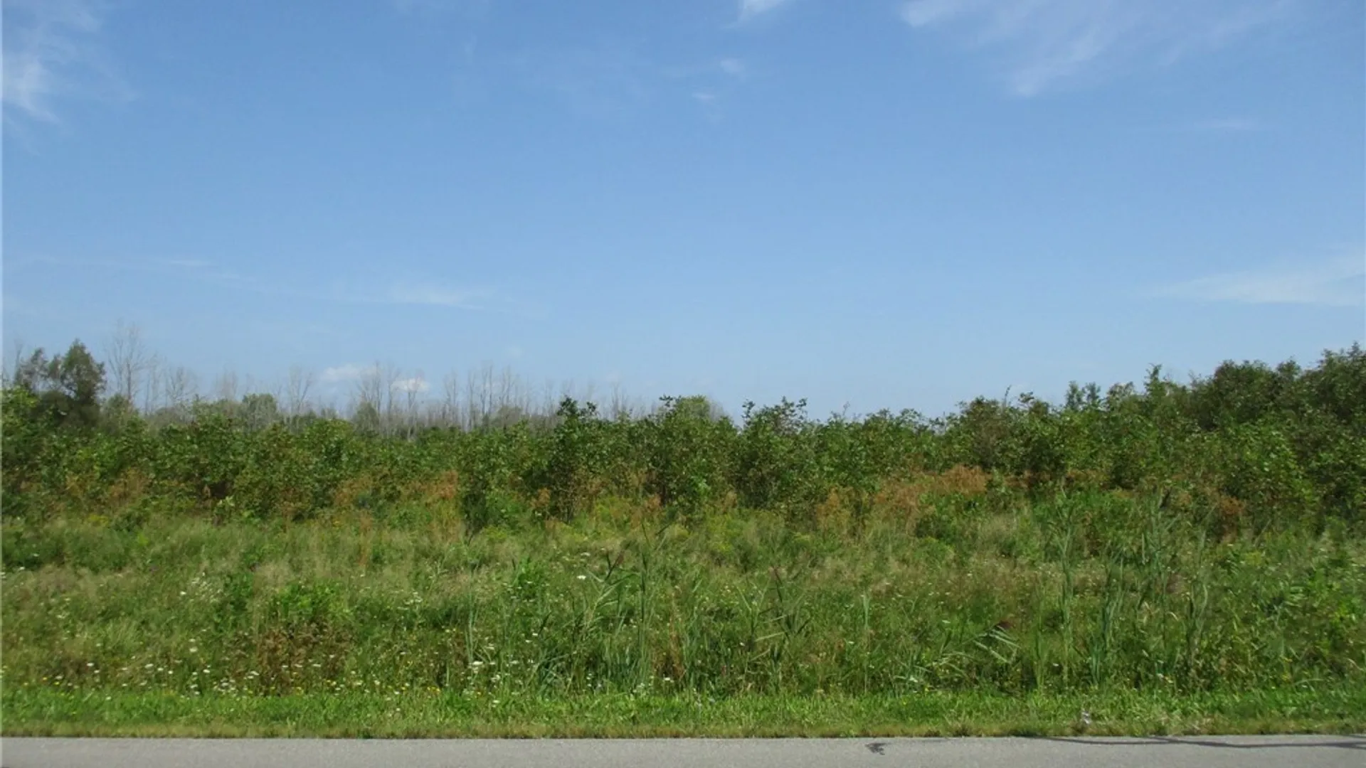 Property at 01 Hitchcock Point Road, Sullivan, NY 13037 7