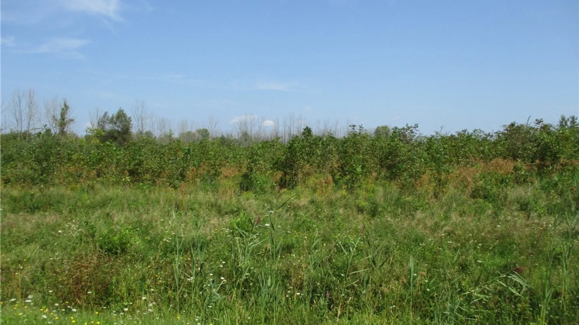 Property at 01 Hitchcock Point Road, Sullivan, NY 13037 8