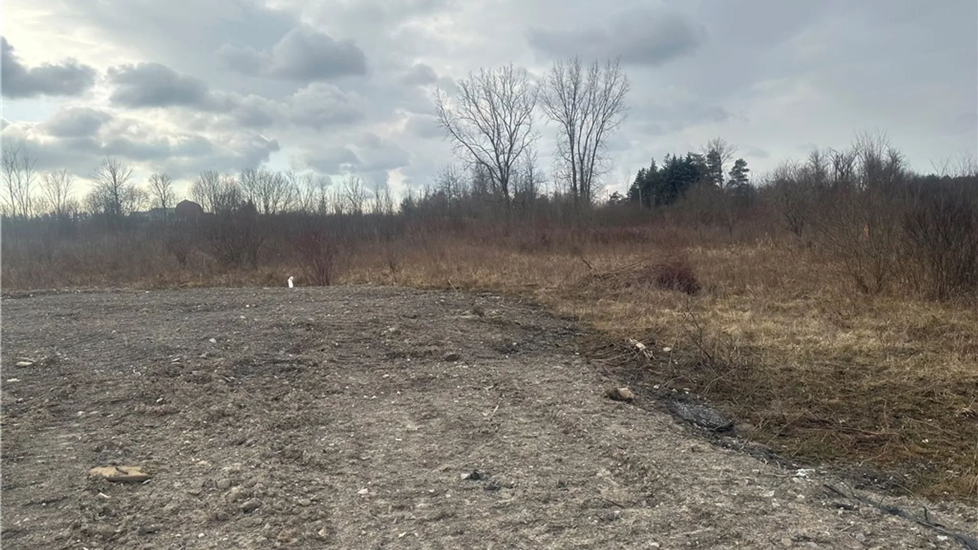 Property at 10445 County Road, Clarence, NY 14031 2