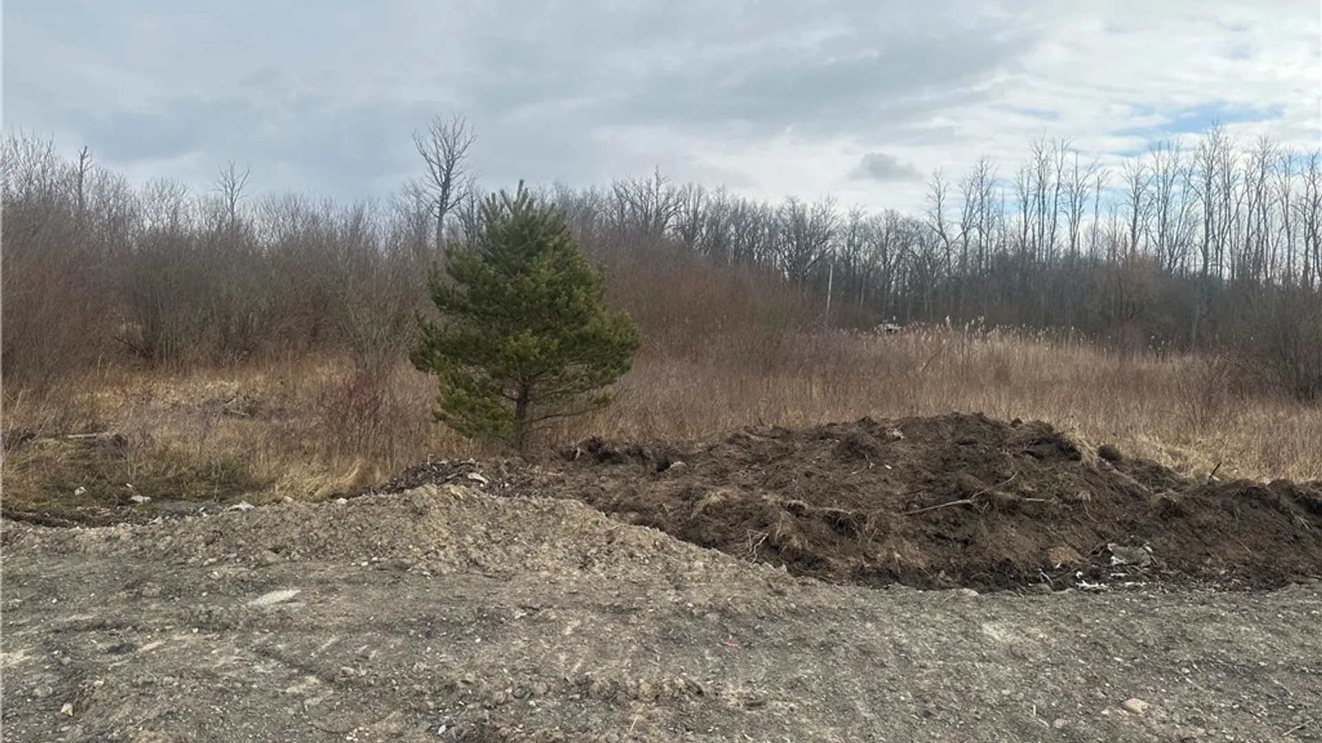 Property at 10445 County Road, Clarence, NY 14031 4