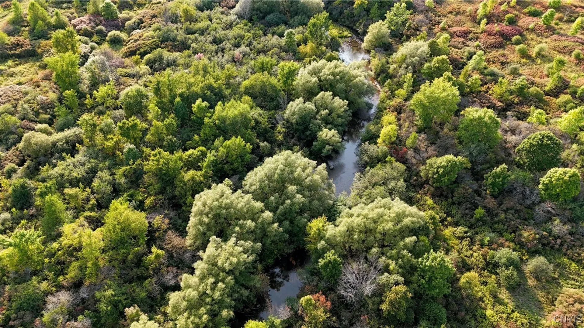 Property at Us-11, Le Ray, NY 13637 7