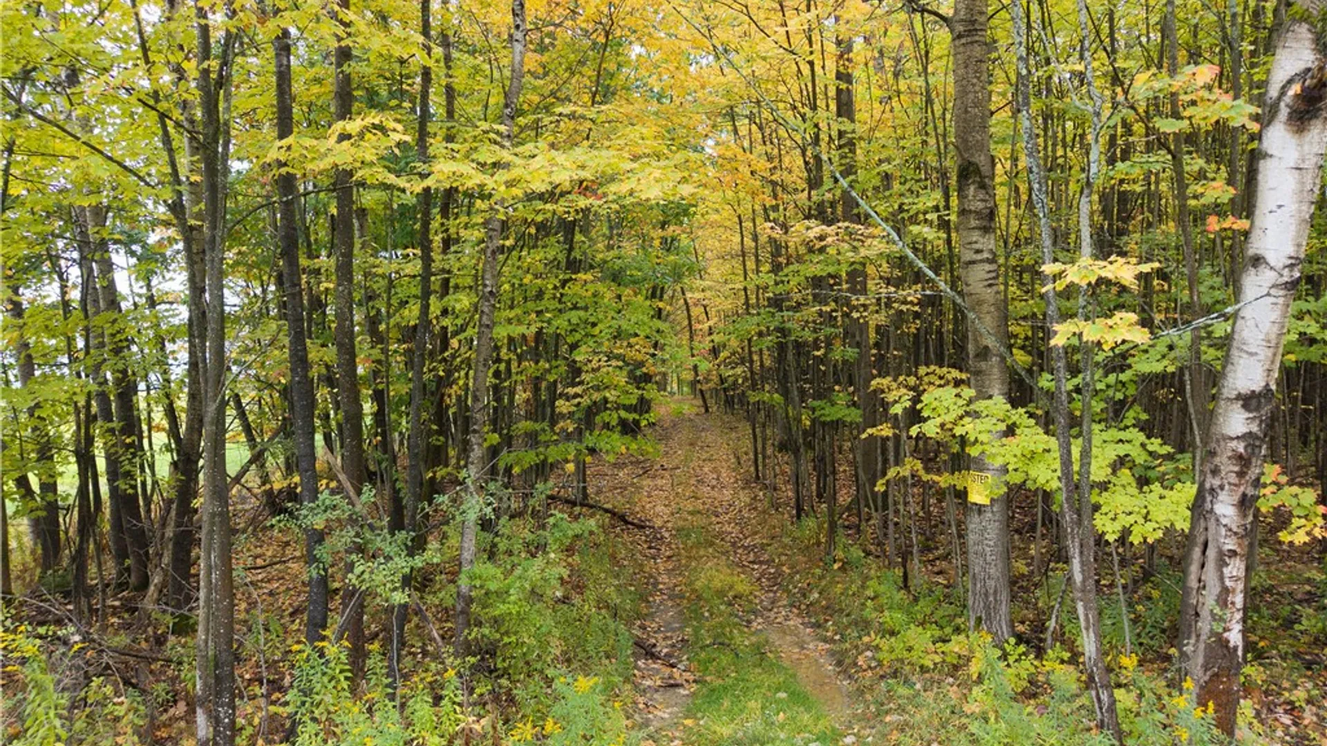 Property at Clark Road, Hornellsville, NY 14843 2