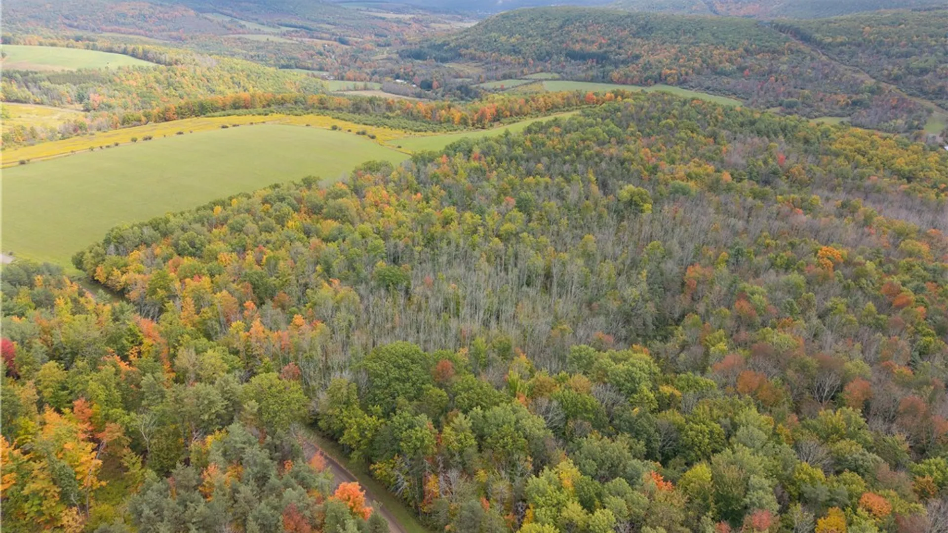 Property at Clark Road, Hornellsville, NY 14843 26