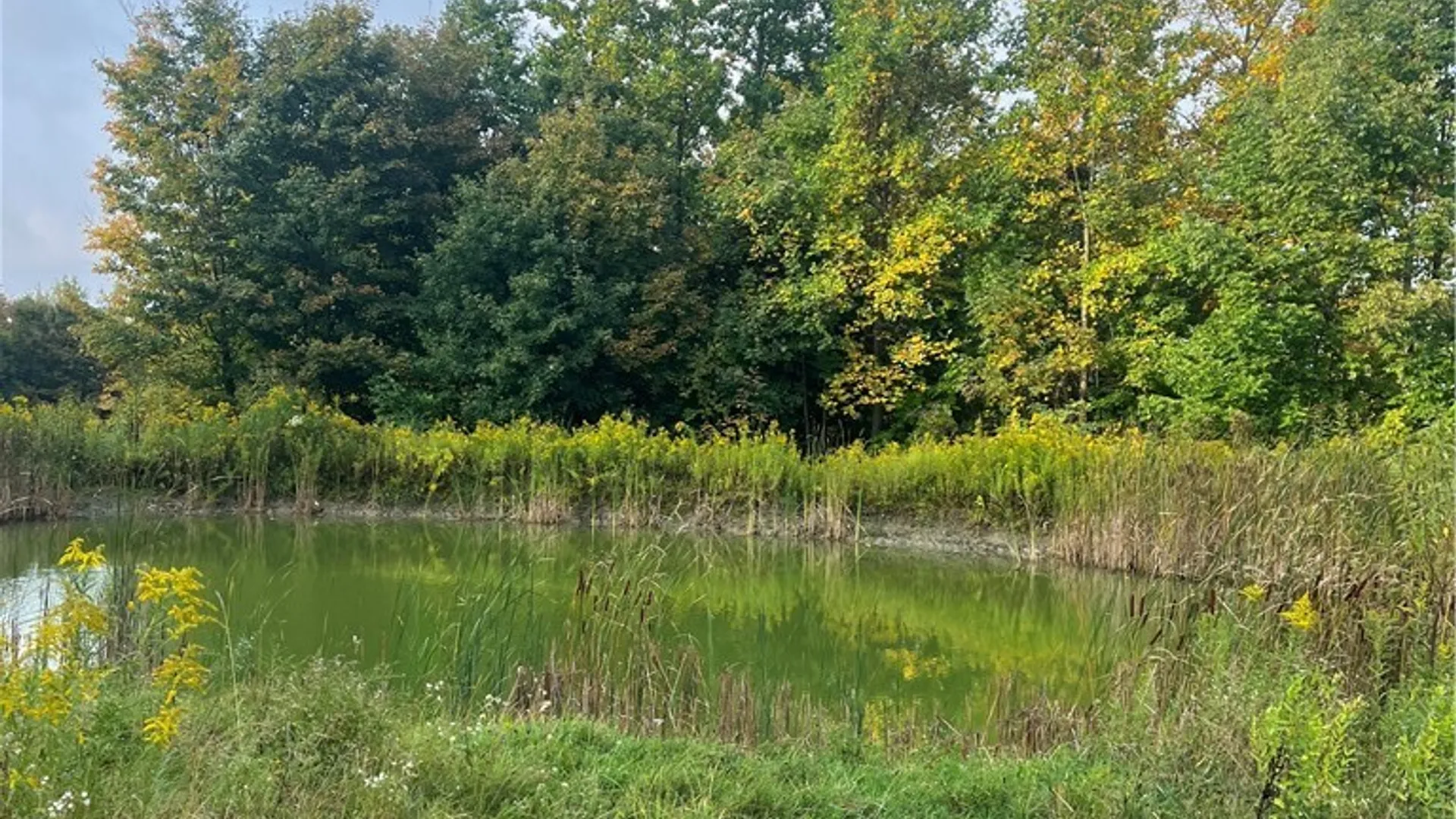 Property at Wattlesburg Road, Ripley, NY 14775 2