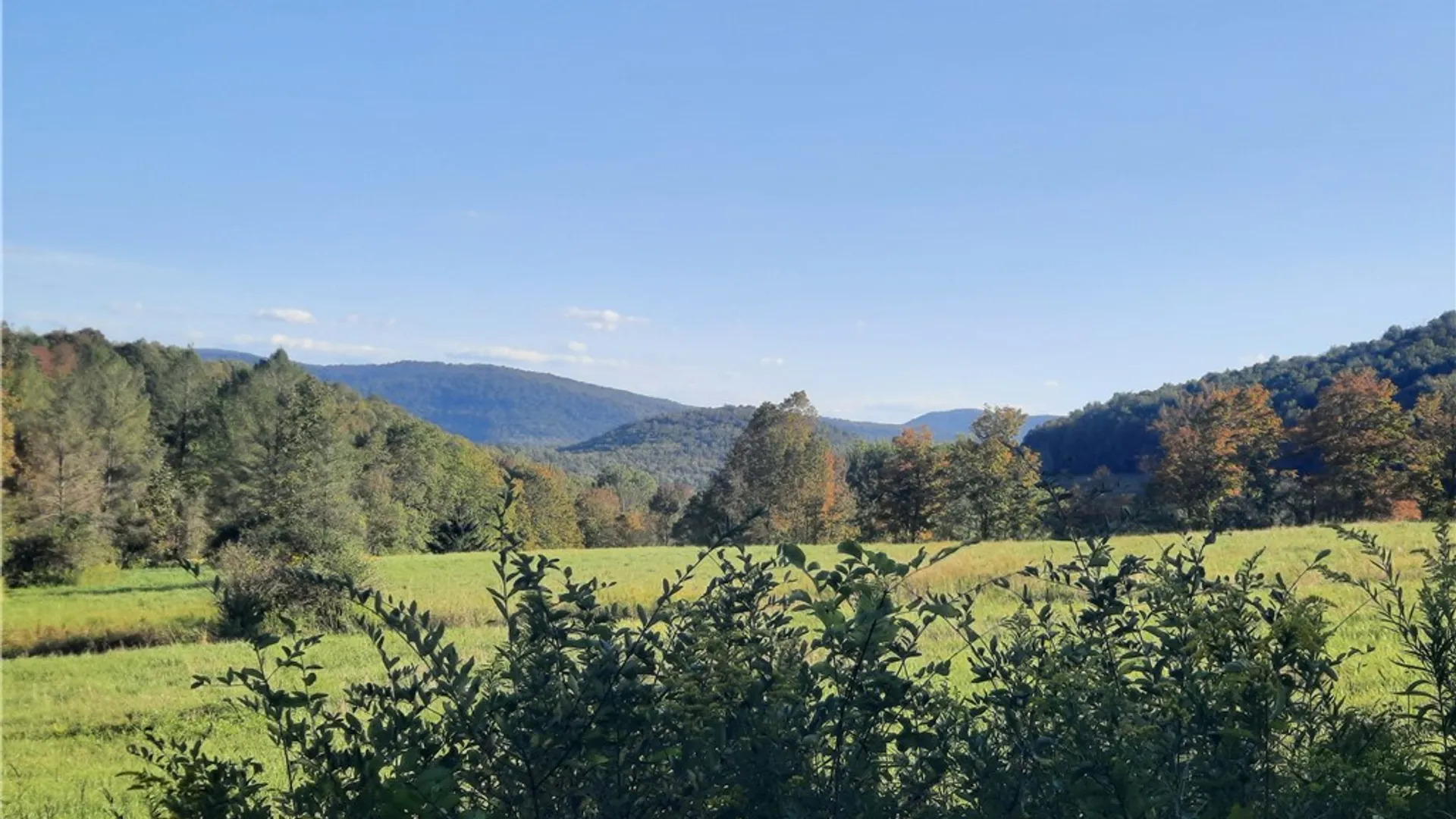 Property at TBD Lower Dingle Hill Road, Andes, NY 13731 13