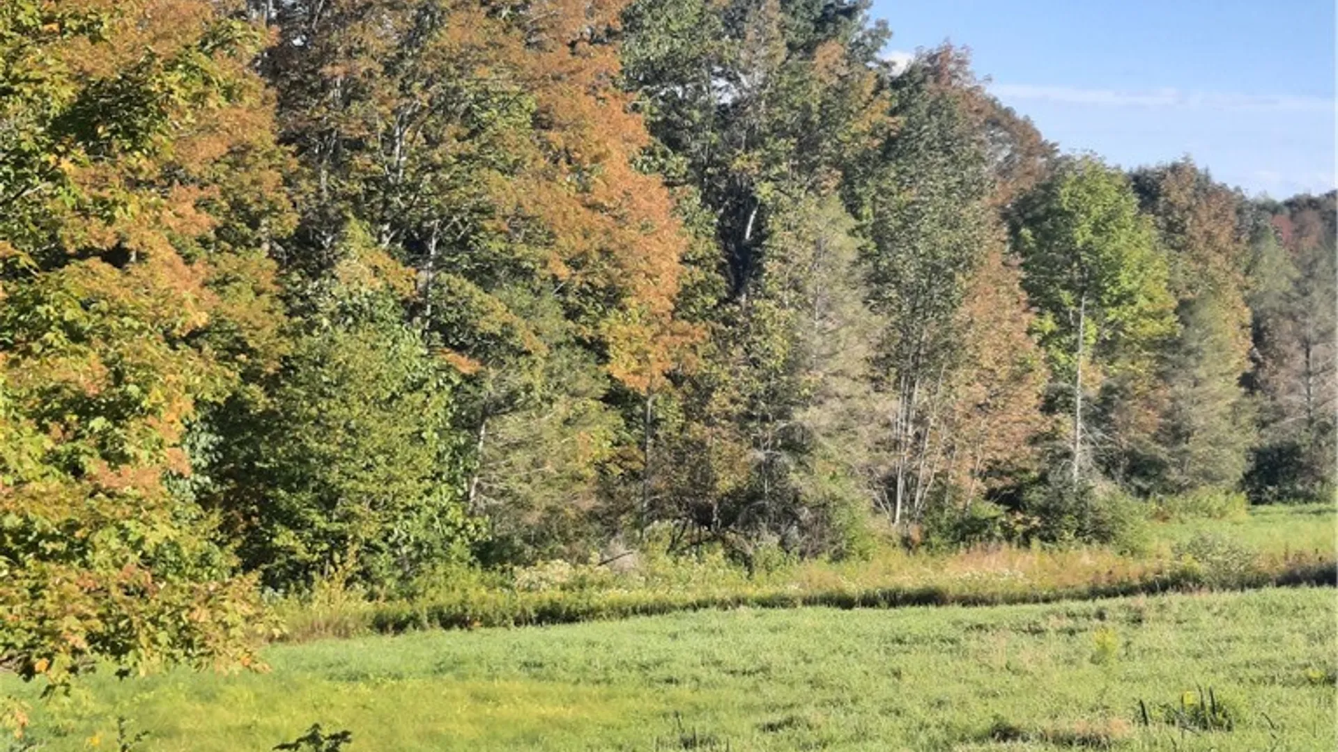 Property at TBD Lower Dingle Hill Road, Andes, NY 13731 14