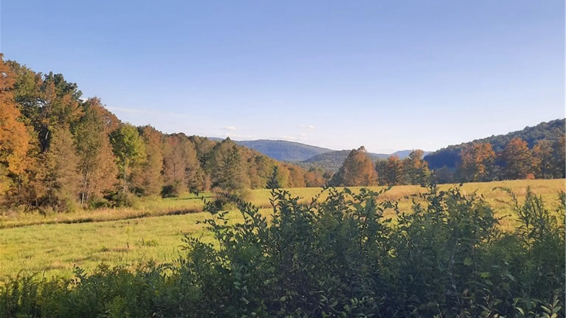 Property at TBD Lower Dingle Hill Road, Andes, NY 13731 15