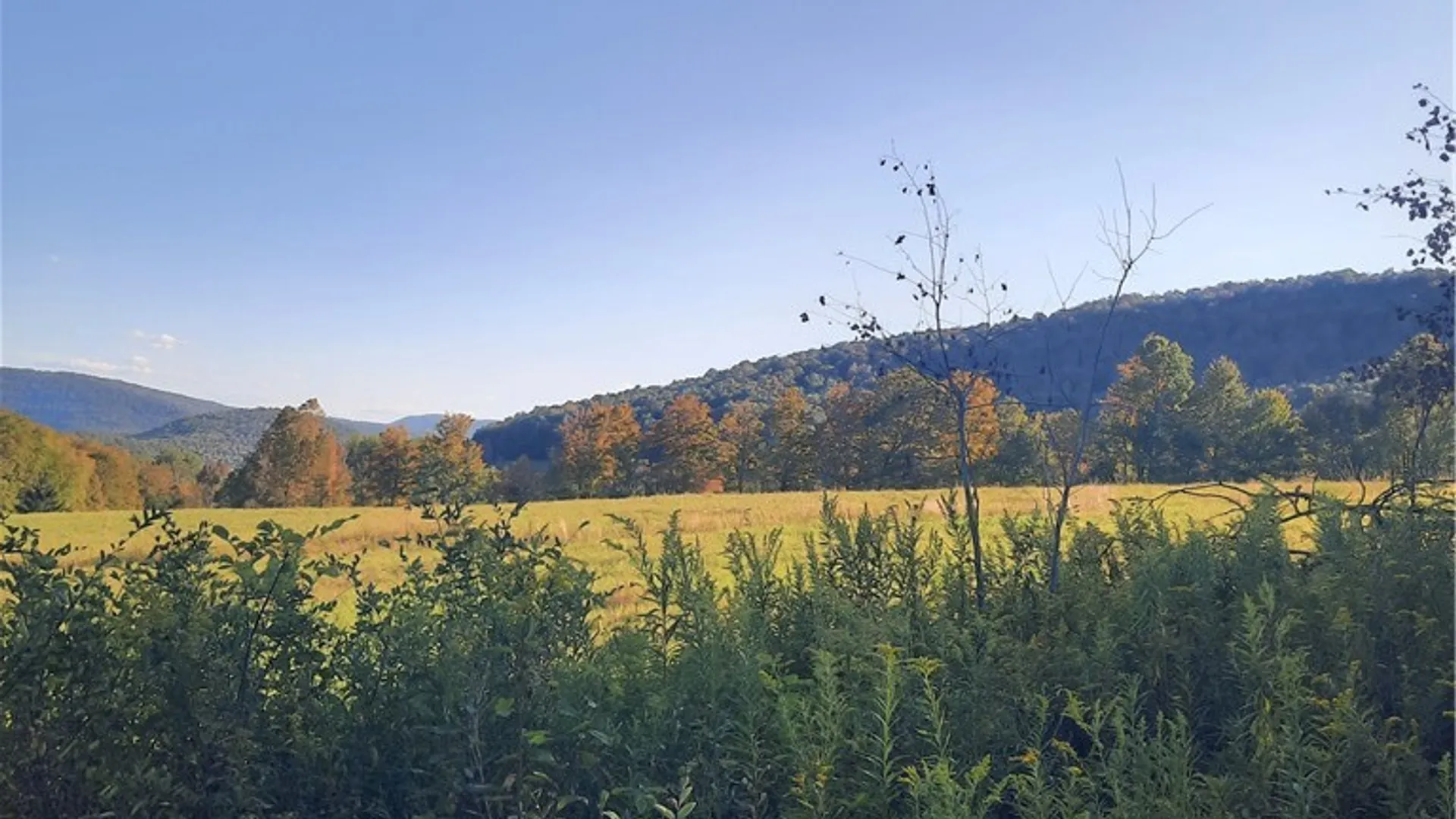 Property at TBD Lower Dingle Hill Road, Andes, NY 13731 16