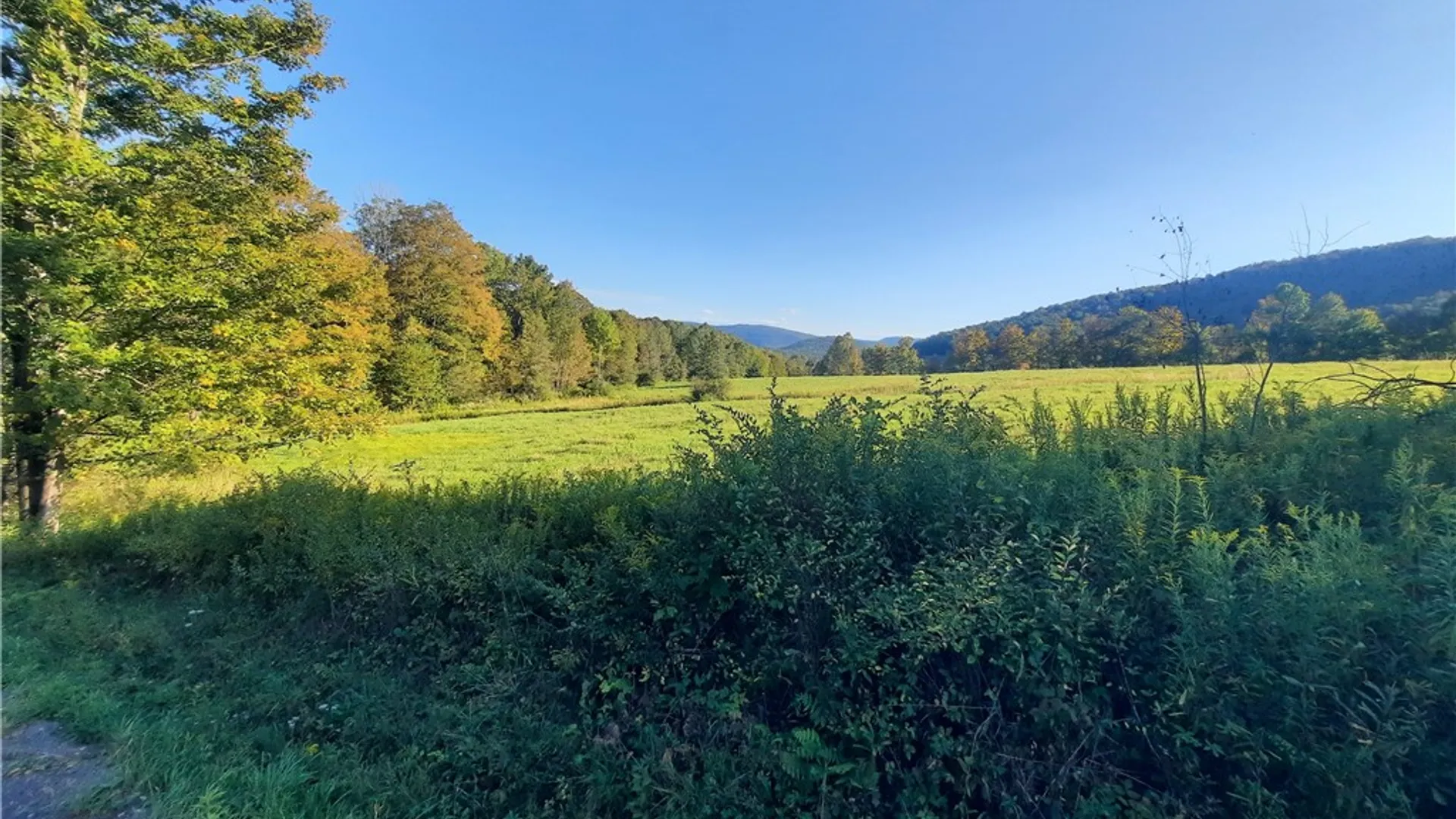 Property at TBD Lower Dingle Hill Road, Andes, NY 13731 17
