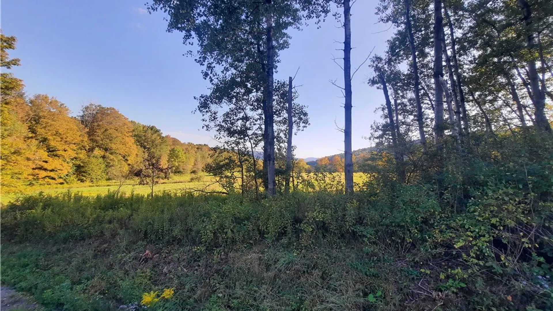 Property at TBD Lower Dingle Hill Road, Andes, NY 13731 18