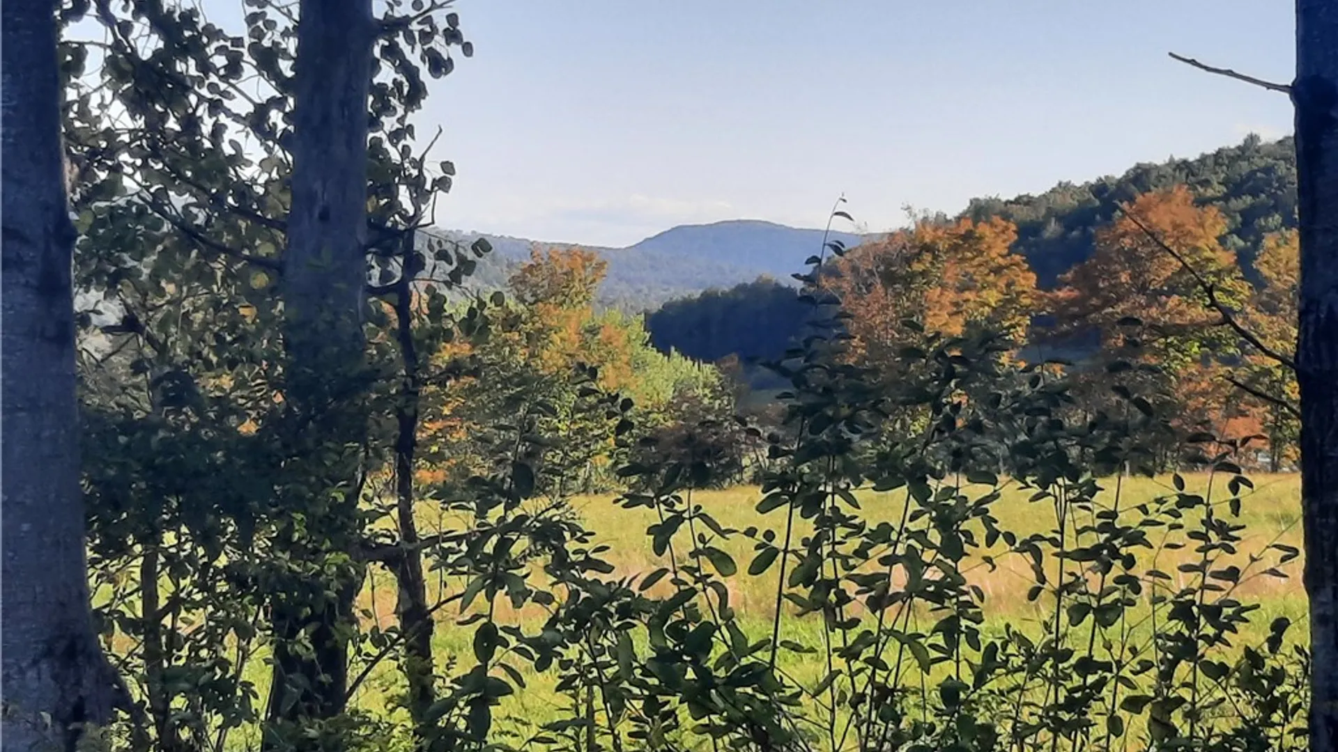 Property at TBD Lower Dingle Hill Road, Andes, NY 13731 19