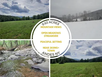 TBD Lower Dingle Hill Road, Andes, NY 13731