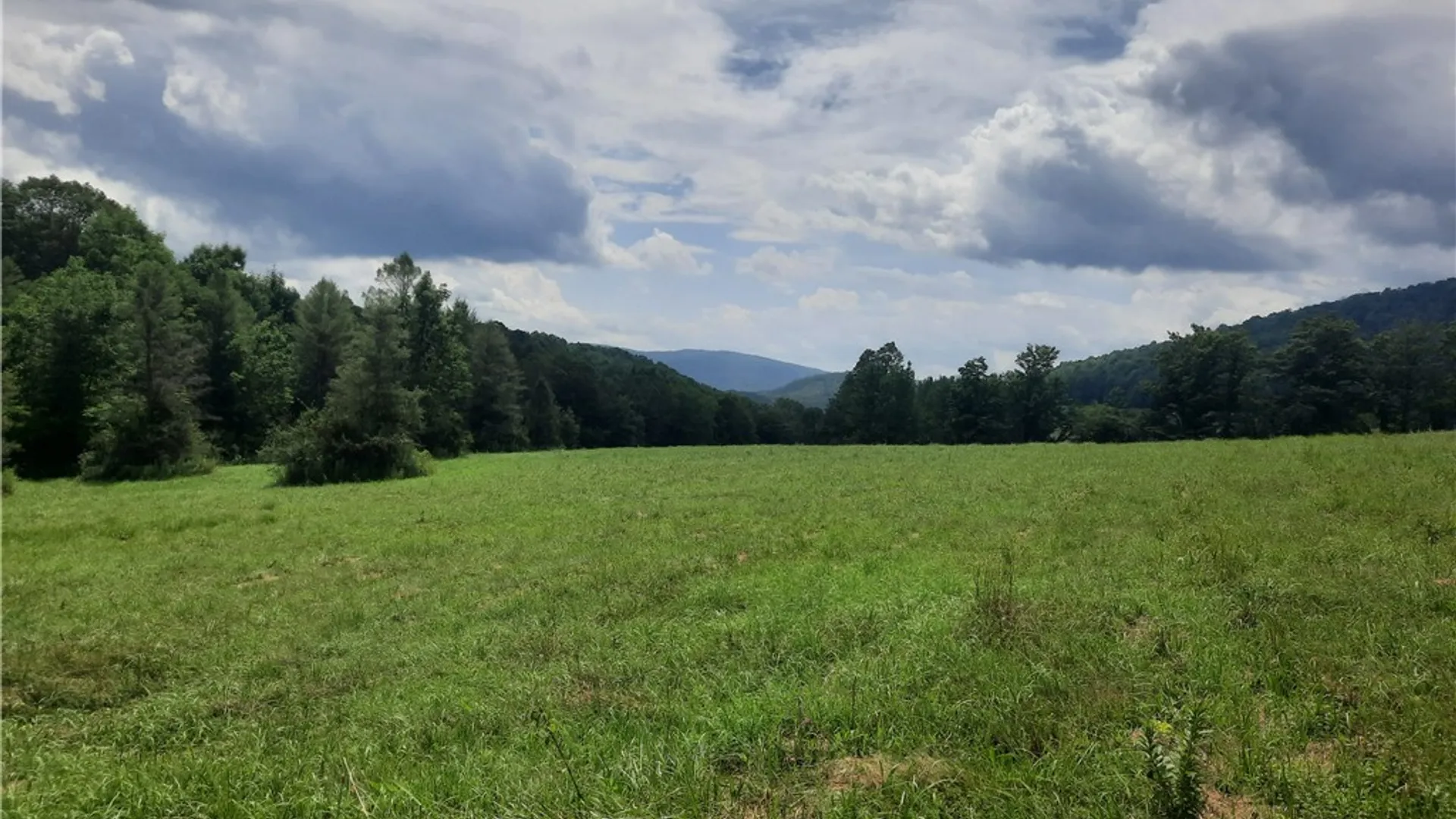 Property at TBD Lower Dingle Hill Road, Andes, NY 13731 2