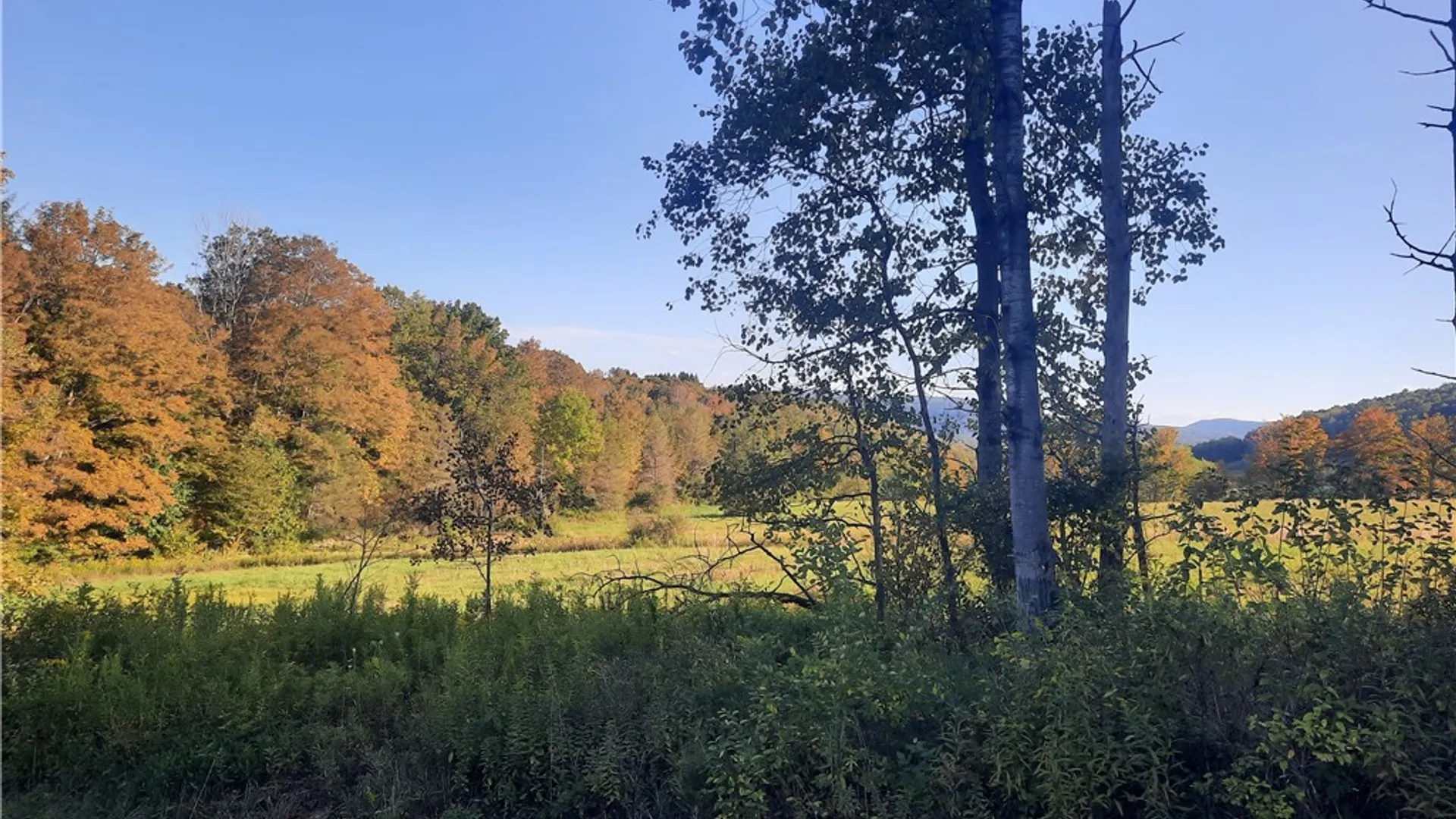 Property at TBD Lower Dingle Hill Road, Andes, NY 13731 20