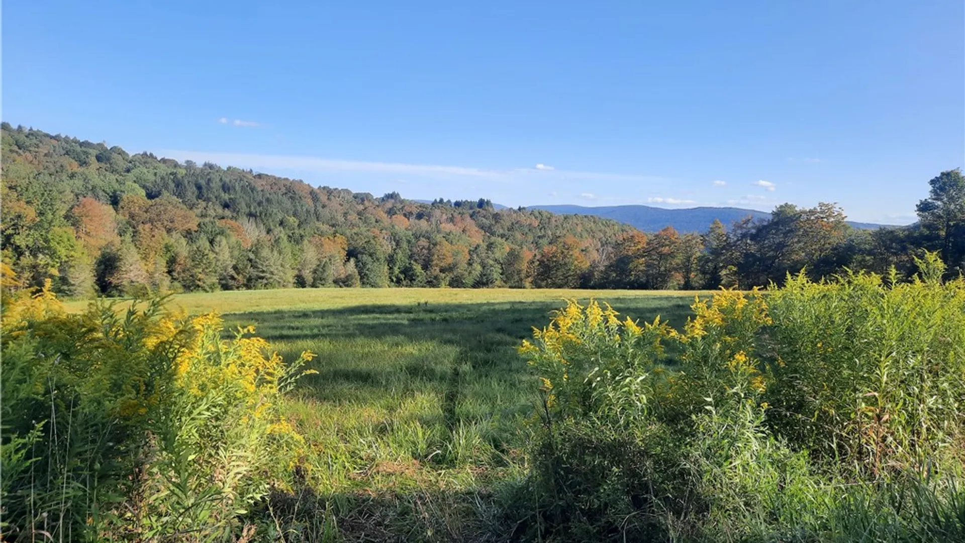 Property at TBD Lower Dingle Hill Road, Andes, NY 13731 21