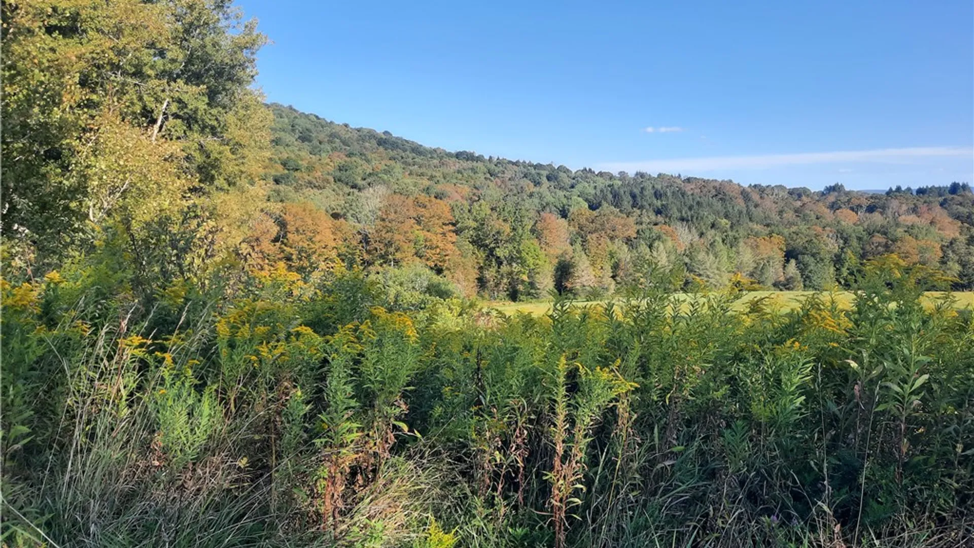 Property at TBD Lower Dingle Hill Road, Andes, NY 13731 22