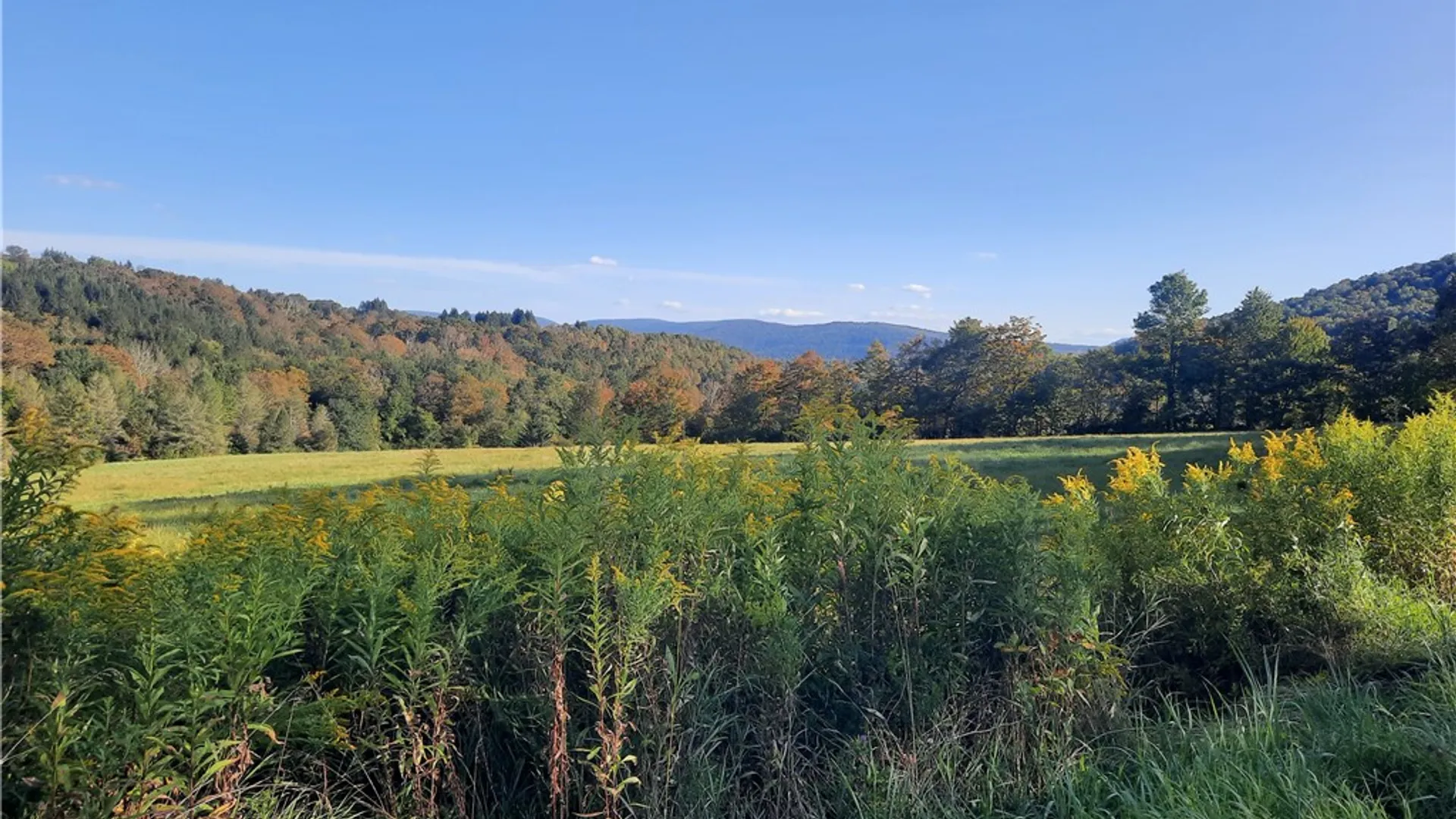 Property at TBD Lower Dingle Hill Road, Andes, NY 13731 23