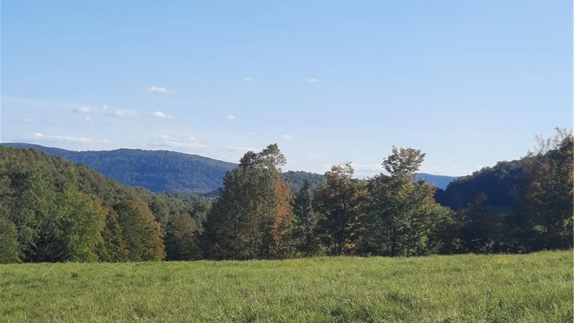 Property at TBD Lower Dingle Hill Road, Andes, NY 13731 24