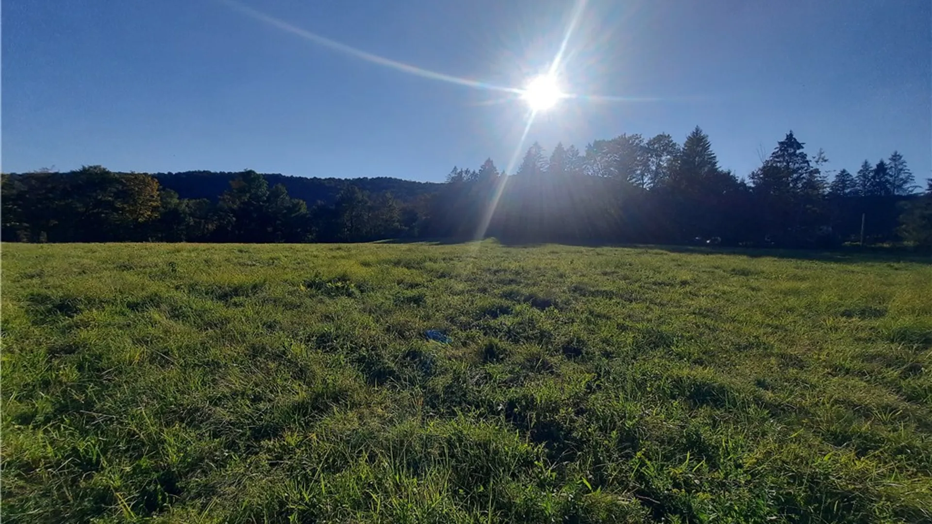 Property at TBD Lower Dingle Hill Road, Andes, NY 13731 25