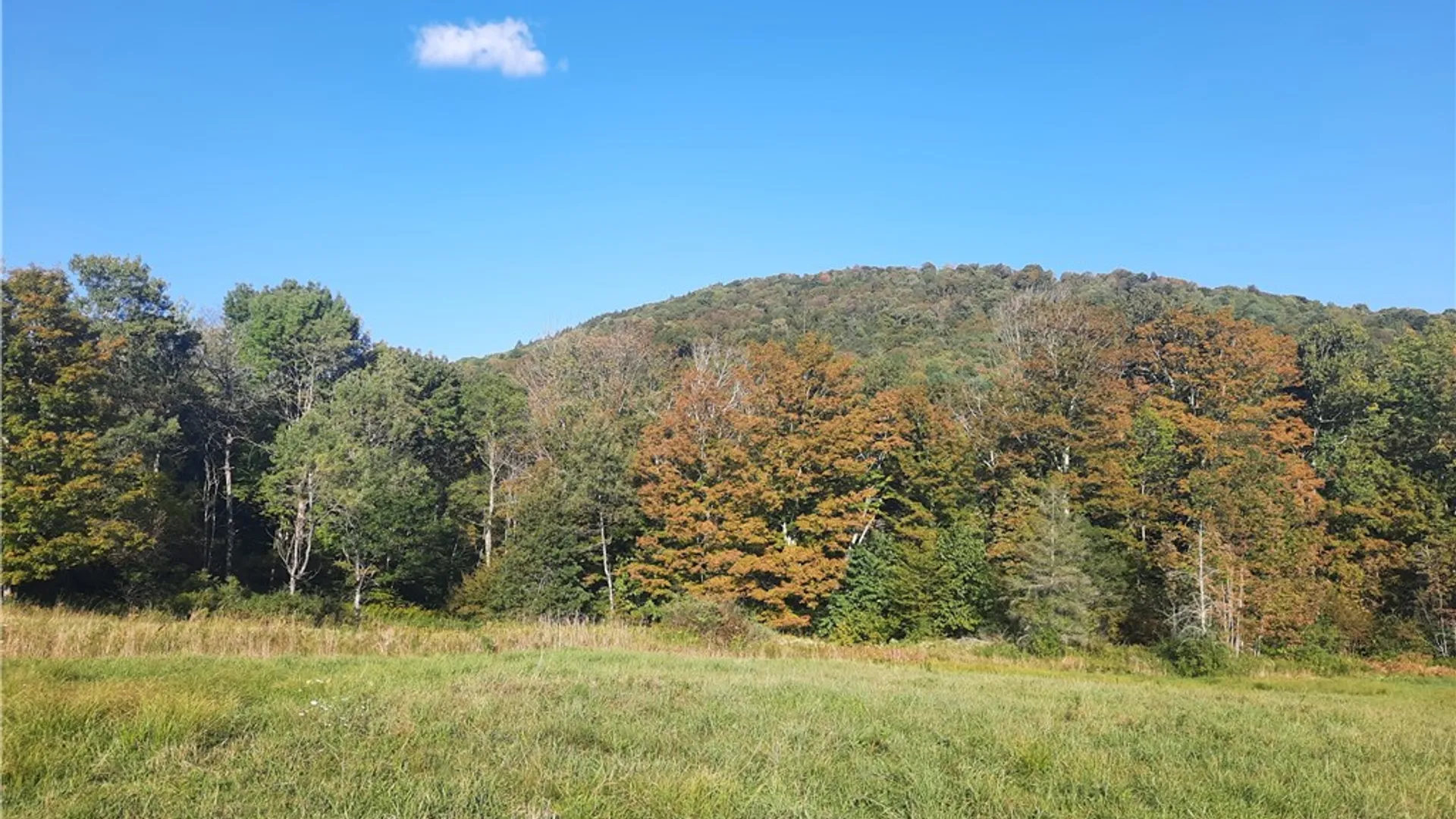 Property at TBD Lower Dingle Hill Road, Andes, NY 13731 26