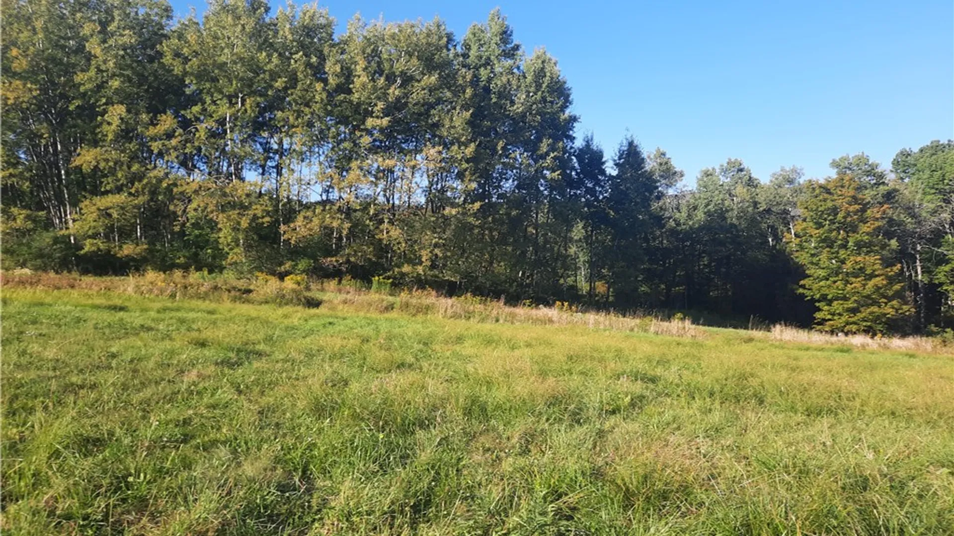 Property at TBD Lower Dingle Hill Road, Andes, NY 13731 27