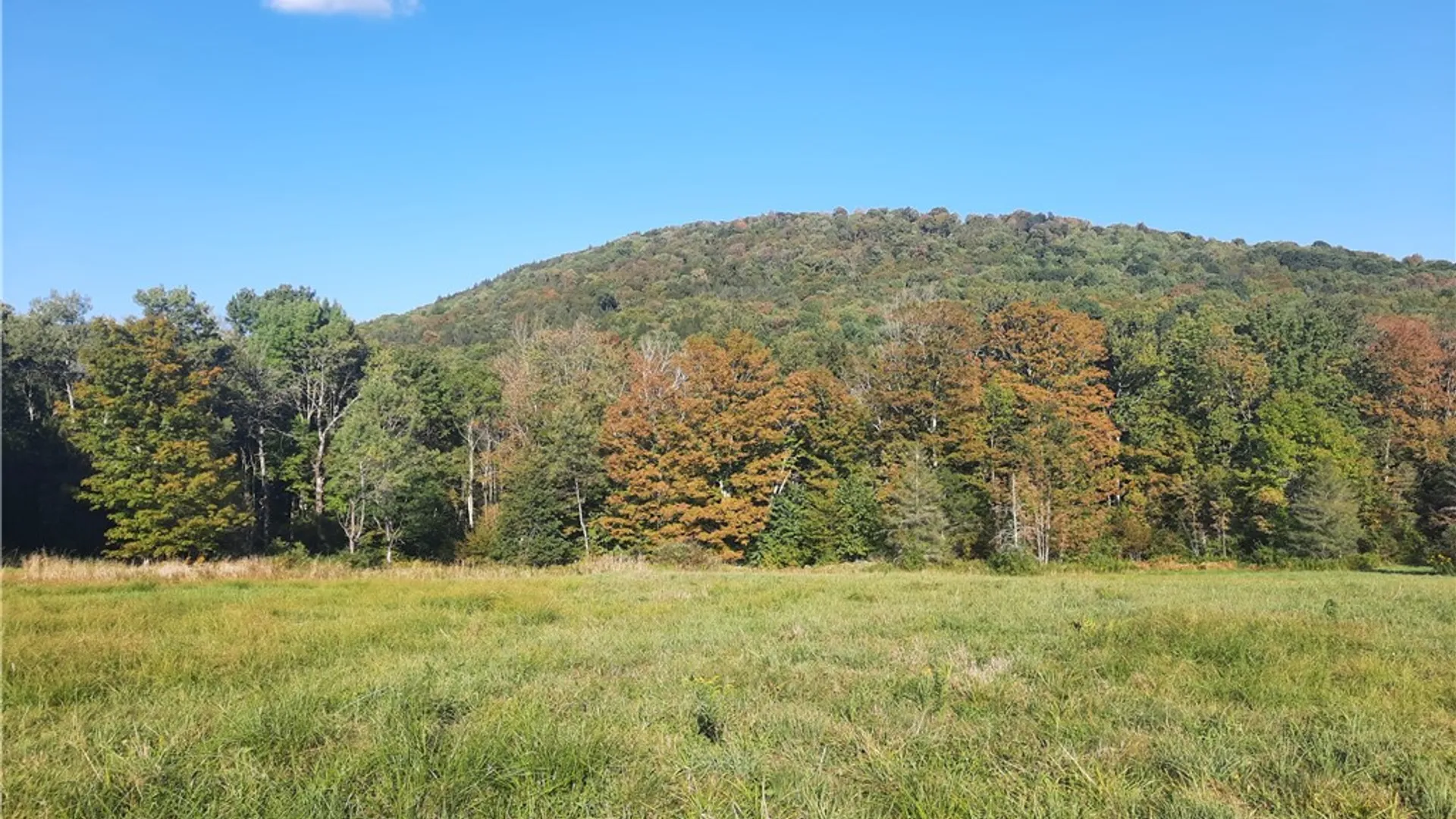 Property at TBD Lower Dingle Hill Road, Andes, NY 13731 28