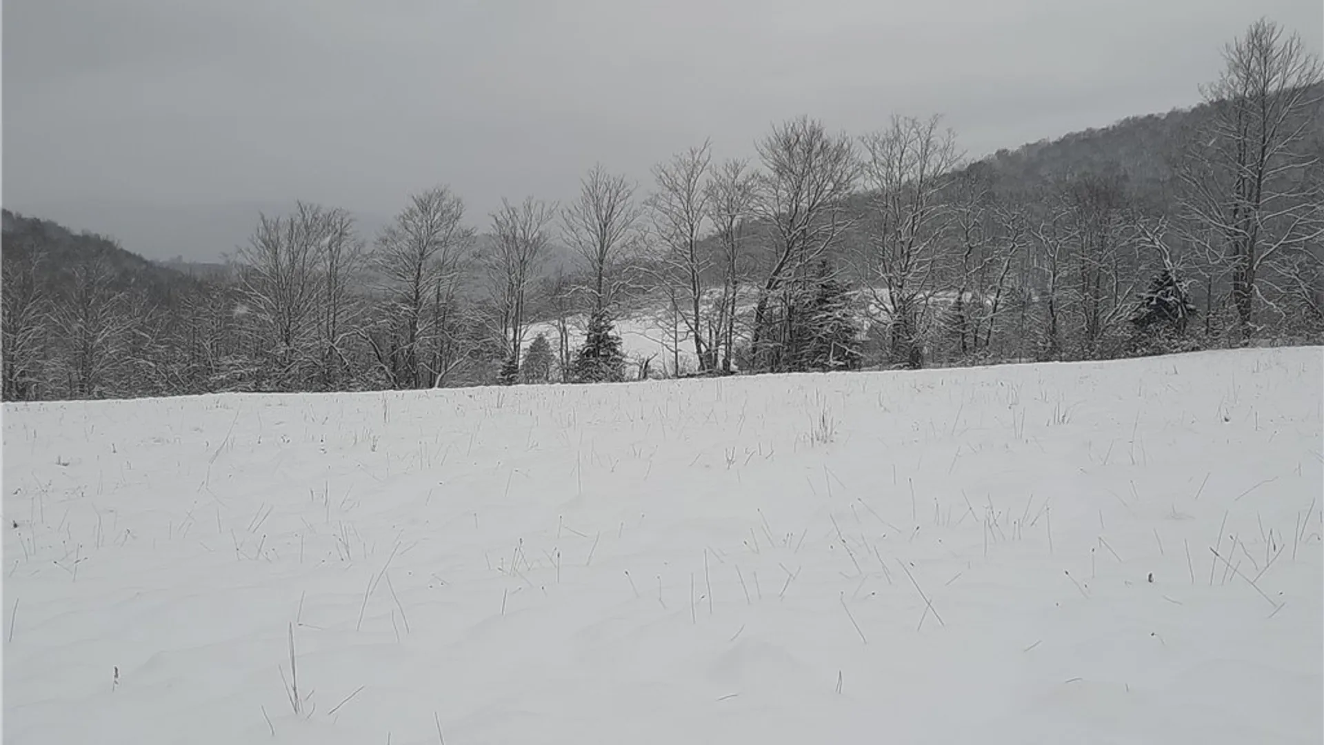 Property at TBD Lower Dingle Hill Road, Andes, NY 13731 3