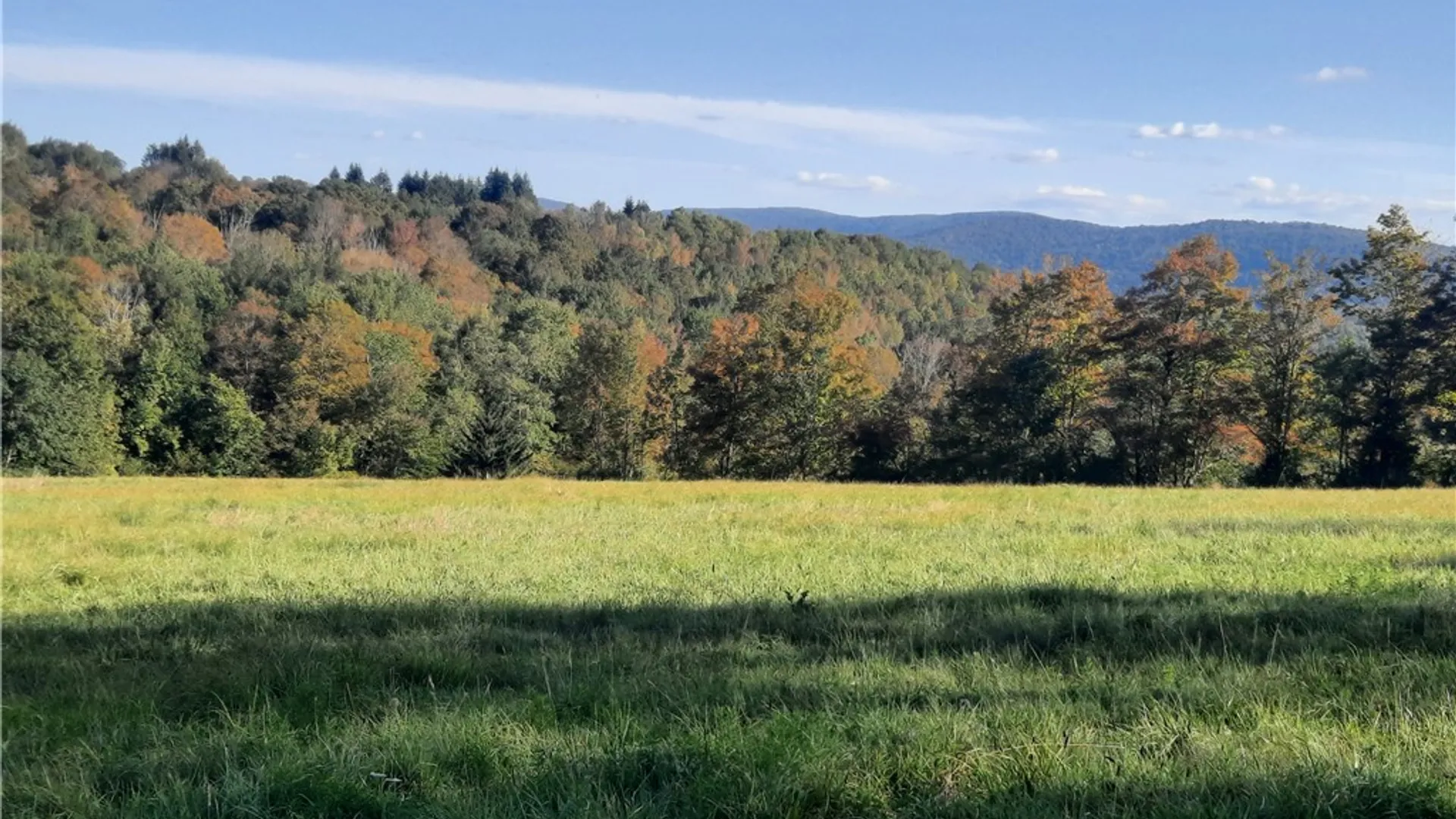 Property at TBD Lower Dingle Hill Road, Andes, NY 13731 30