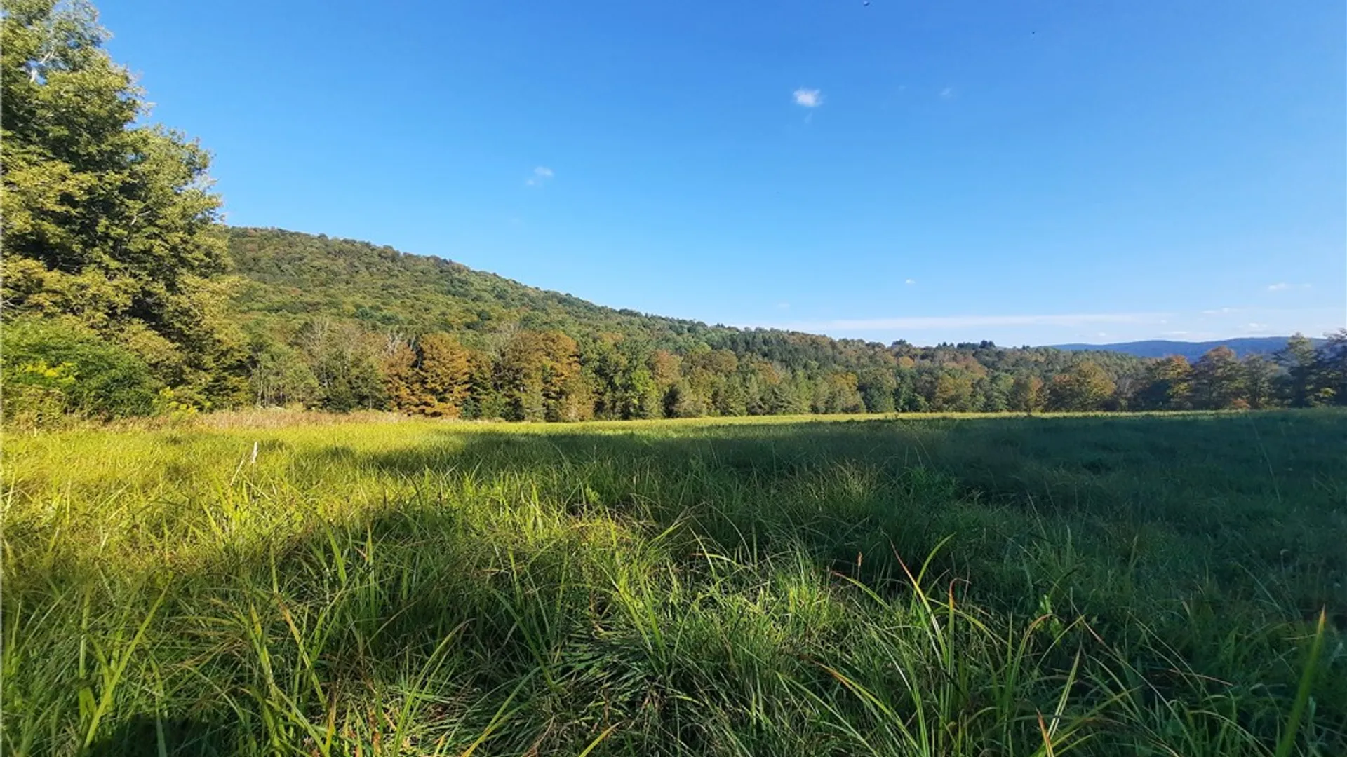 Property at TBD Lower Dingle Hill Road, Andes, NY 13731 31