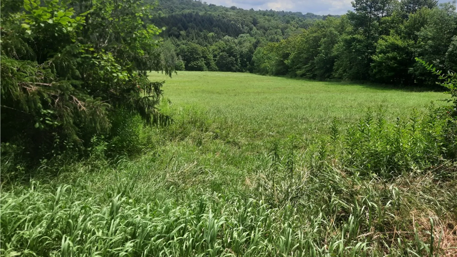 Property at TBD Lower Dingle Hill Road, Andes, NY 13731 32