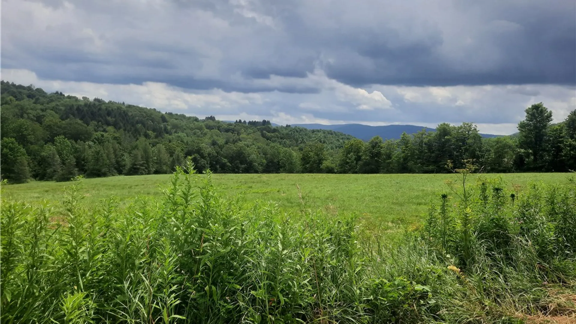 Property at TBD Lower Dingle Hill Road, Andes, NY 13731 34