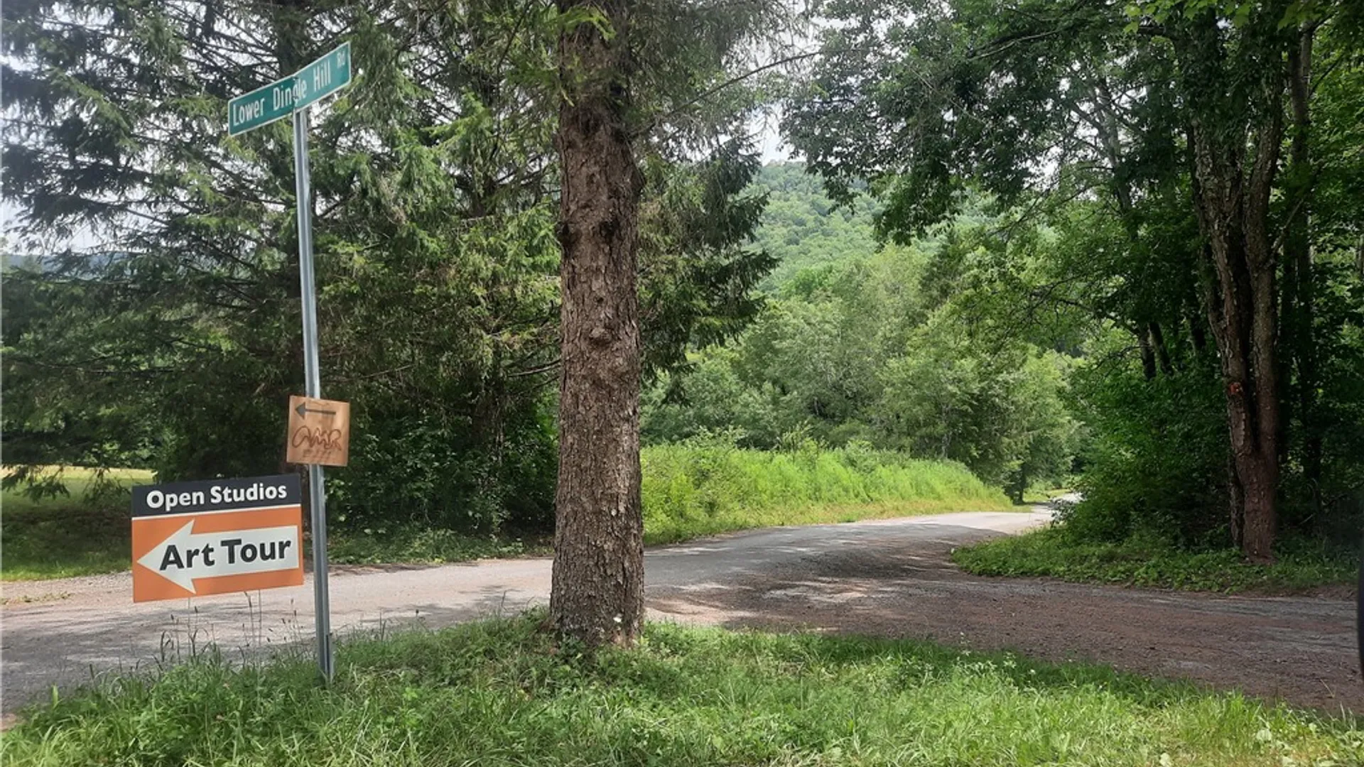 Property at TBD Lower Dingle Hill Road, Andes, NY 13731 35