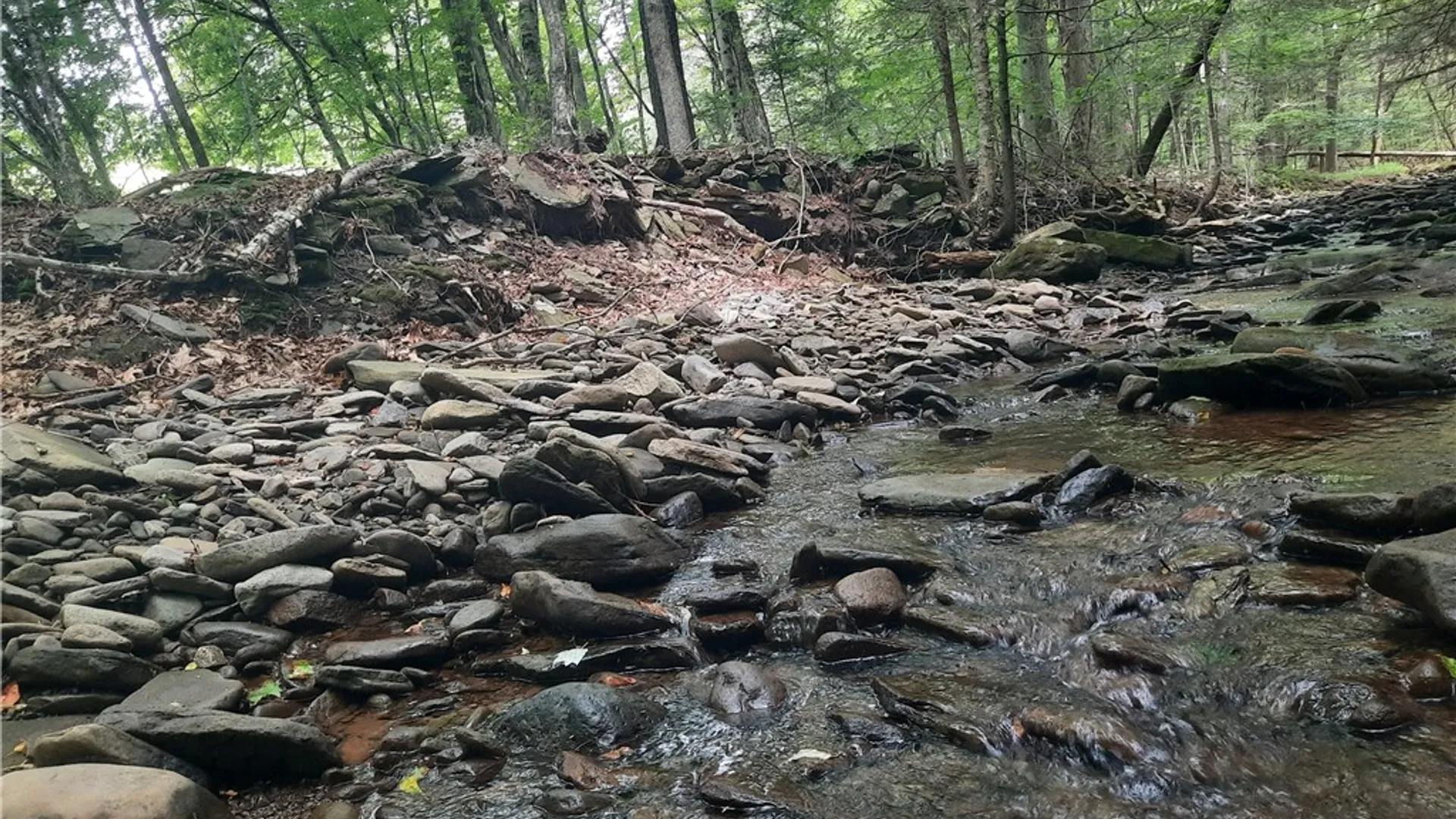 Property at TBD Lower Dingle Hill Road, Andes, NY 13731 36