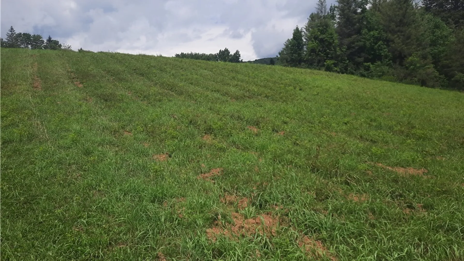 Property at TBD Lower Dingle Hill Road, Andes, NY 13731 37