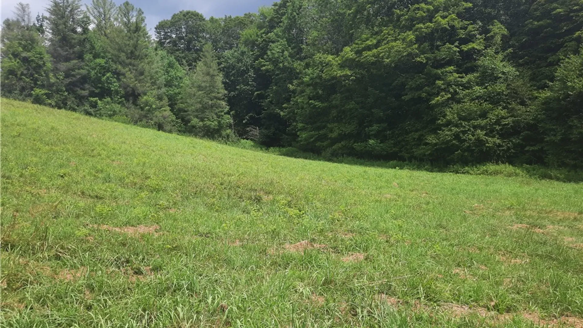 Property at TBD Lower Dingle Hill Road, Andes, NY 13731 38