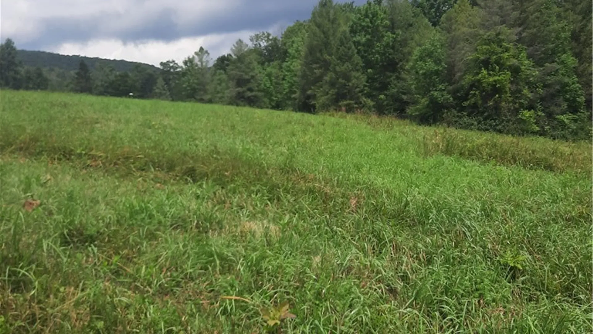 Property at TBD Lower Dingle Hill Road, Andes, NY 13731 39