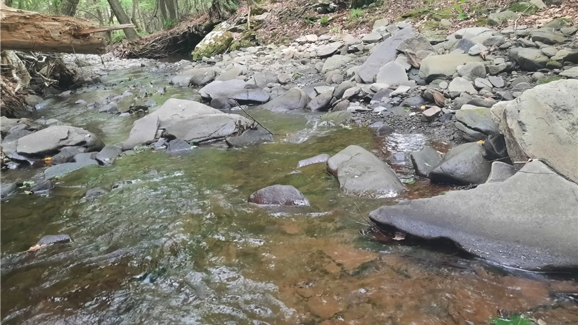 Property at TBD Lower Dingle Hill Road, Andes, NY 13731 4